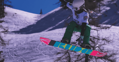 Snowboard Sapper 223